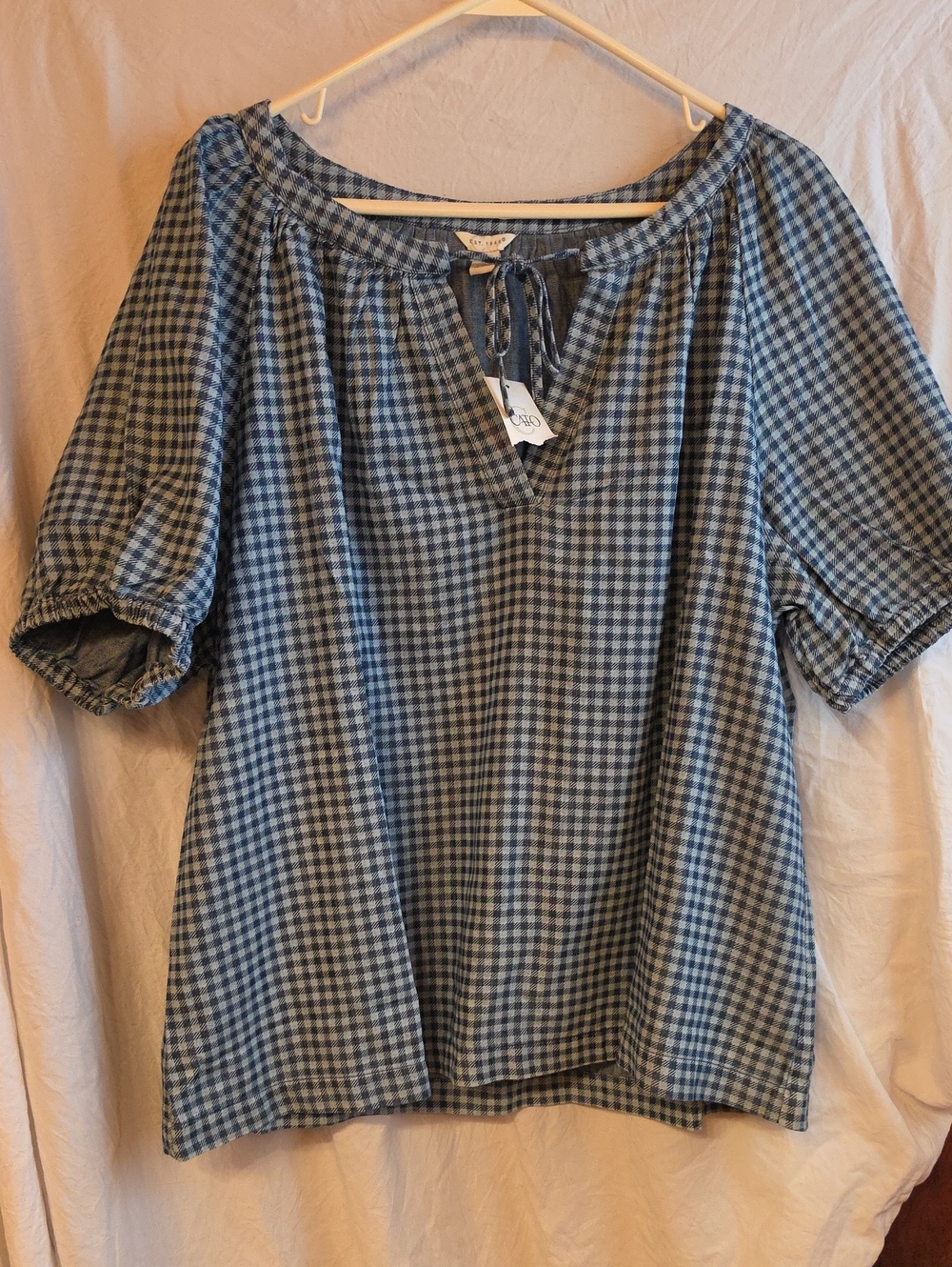 Cato Blue Gingham Peasant Top with Tie Neck